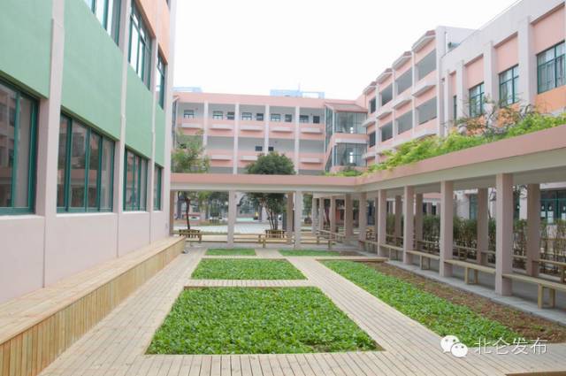 想进大学校园,想进中科大