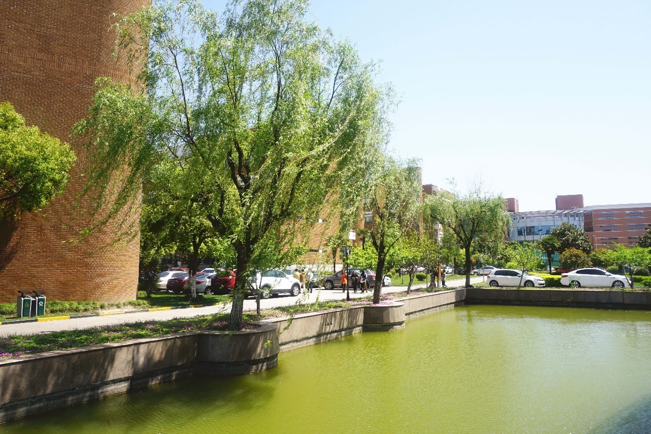 瞅瞅程序猿（媛）午餐都吃什么（一）：浦东软件园