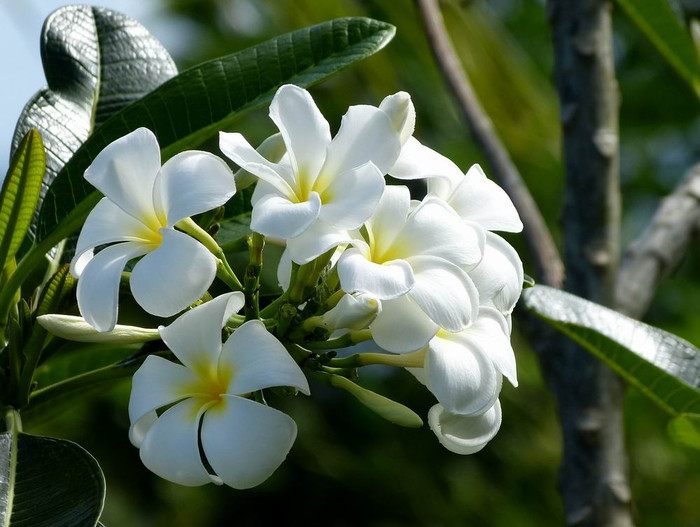 长滩之旅分享篇,长滩旅游行程