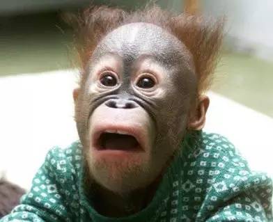 What？德国转机，兜里的旧iPhone也能被税！真相是