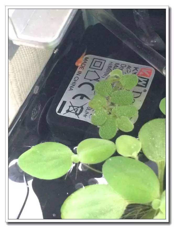 新手入坑的一点感悟,社区演讲精华篇