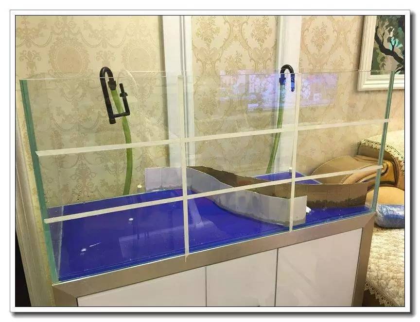 新手入坑的一点感悟,社区演讲精华篇