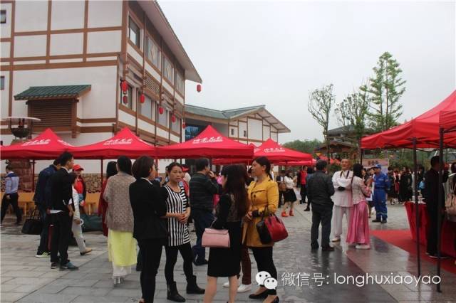 *卫强**书记为啥称赞龙虎山逍遥城“大项目，好手笔”？