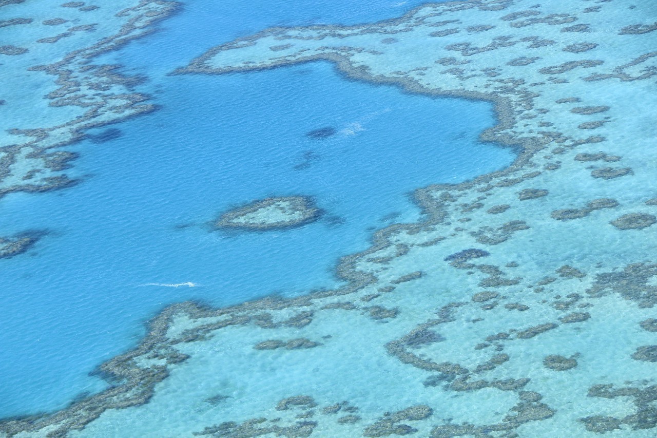 为什么千万不要带父母去旅行,别让父母独自出行