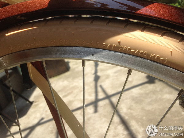 捷安特momentum98,捷安特momentum女士自行车