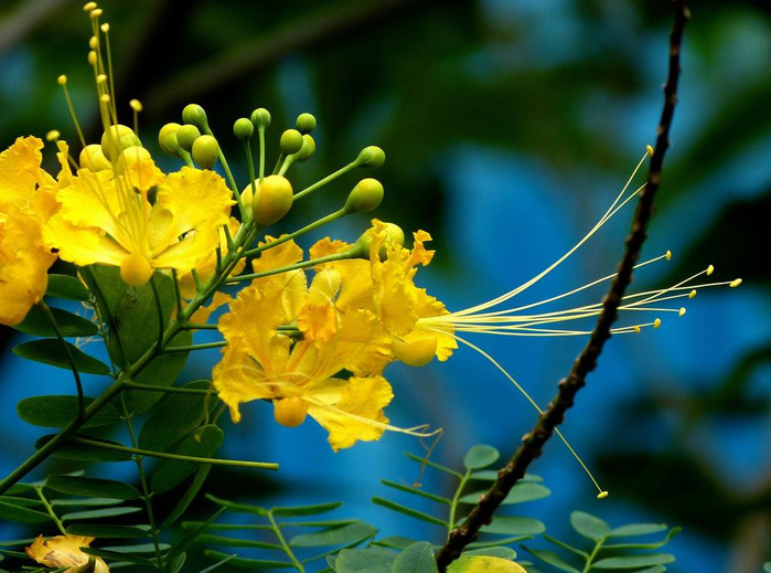 长滩之旅分享篇,长滩旅游行程