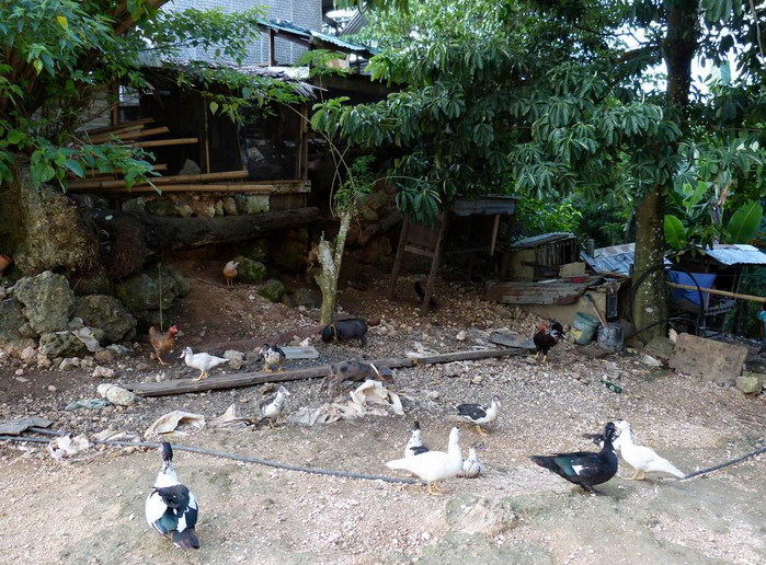 长滩之旅分享篇,长滩旅游行程