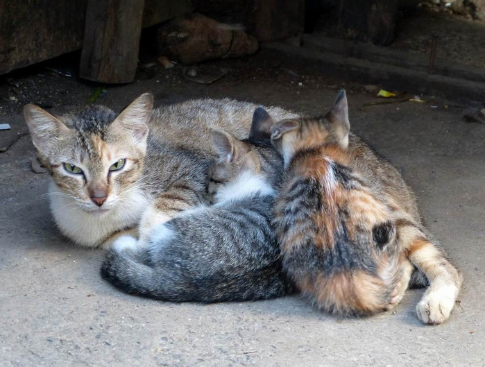 长滩之旅分享篇,长滩旅游行程