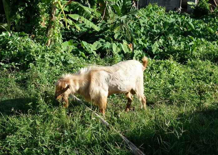 长滩之旅分享篇,长滩旅游行程