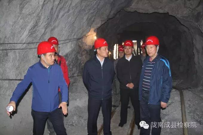 成检快报|陇南市检察院检察长高连成一行在成县督导调研“保民生、促三农”等专项工作