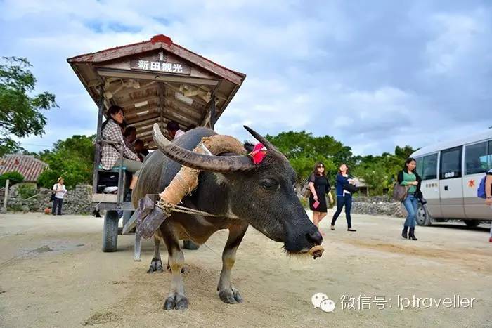 星球坐标|冲绳:一百多个离岛,是日本的另一幅面孔