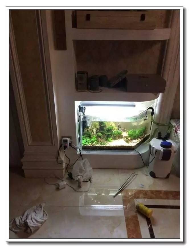 新手入坑的一点感悟,社区演讲精华篇