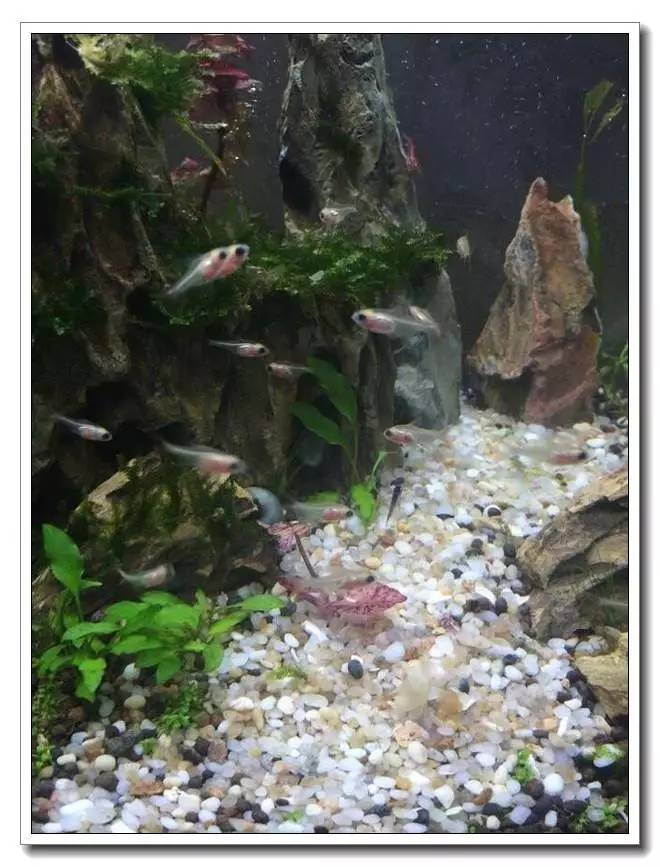 新手入坑的一点感悟,社区演讲精华篇