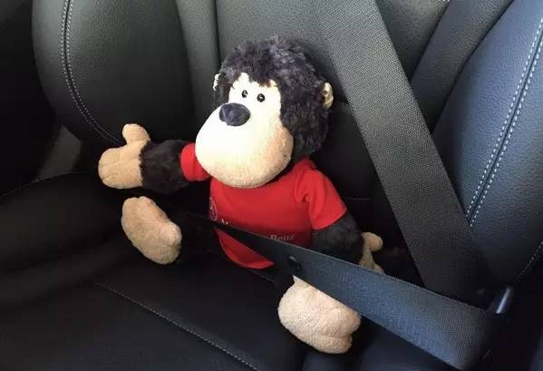 单身狗为什么要坐牢,单身狗开车违法吗