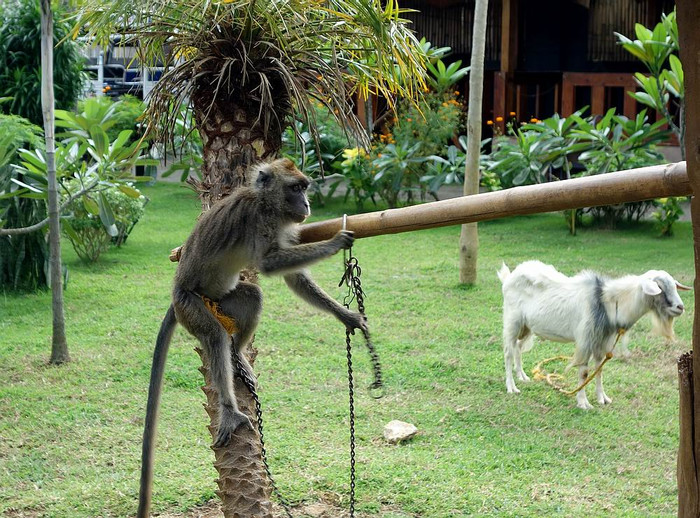 长滩之旅分享篇,长滩旅游行程