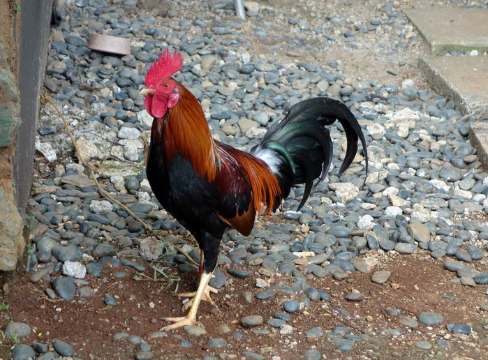 长滩之旅分享篇,长滩旅游行程