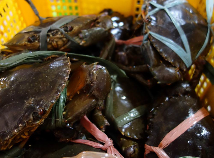 长滩之旅分享篇,长滩旅游行程