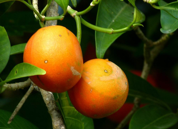 长滩之旅分享篇,长滩旅游行程