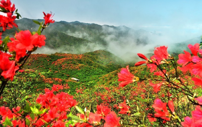 浏阳火爆的地方,浏阳今日旅游情况