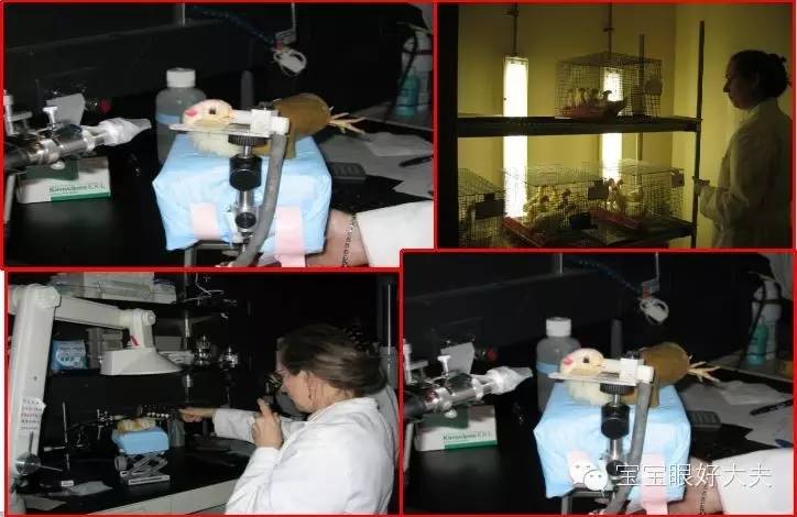 先天性上睑下垂最佳的治疗措施,上睑下垂适合多少岁治疗