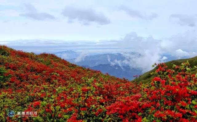 浏阳旅游景区推荐,浏阳市森林生态观光园