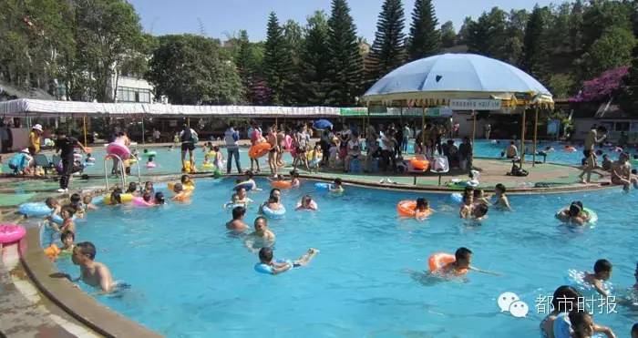 食色云南完整视频,食色云南在哪儿