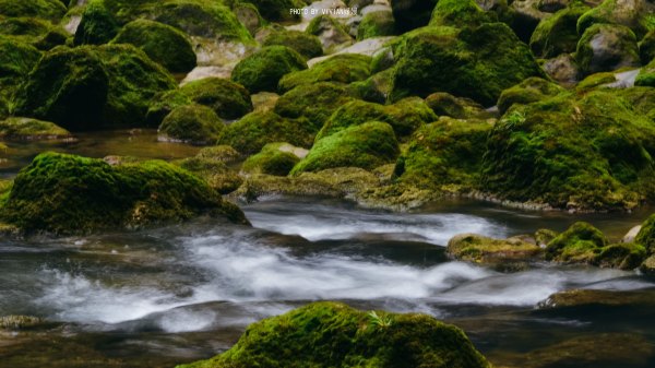 跟着圣玉去旅行，做一个水姑娘
