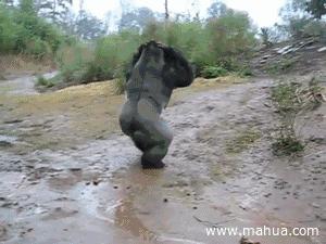 清远最新几号有大暴雨,有史以来清远最严重的暴雨