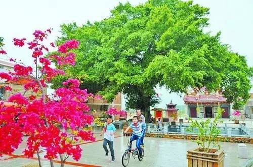 市委书记王蒙徽在厦大说了啥，师生们连连鼓掌