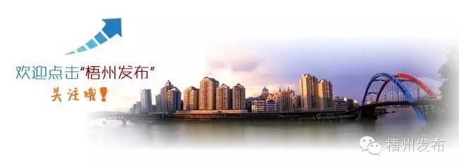 城中花园小区高层住户一晚粘住四五只老鼠？夏天到了，老鼠和蟑螂都飞天了！