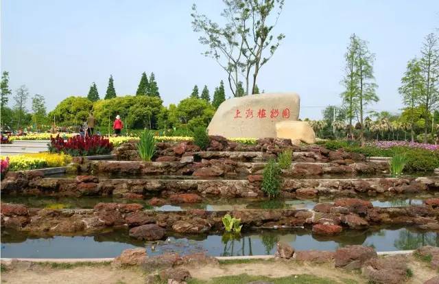 上海各区五一福利,上海免费领取的福利