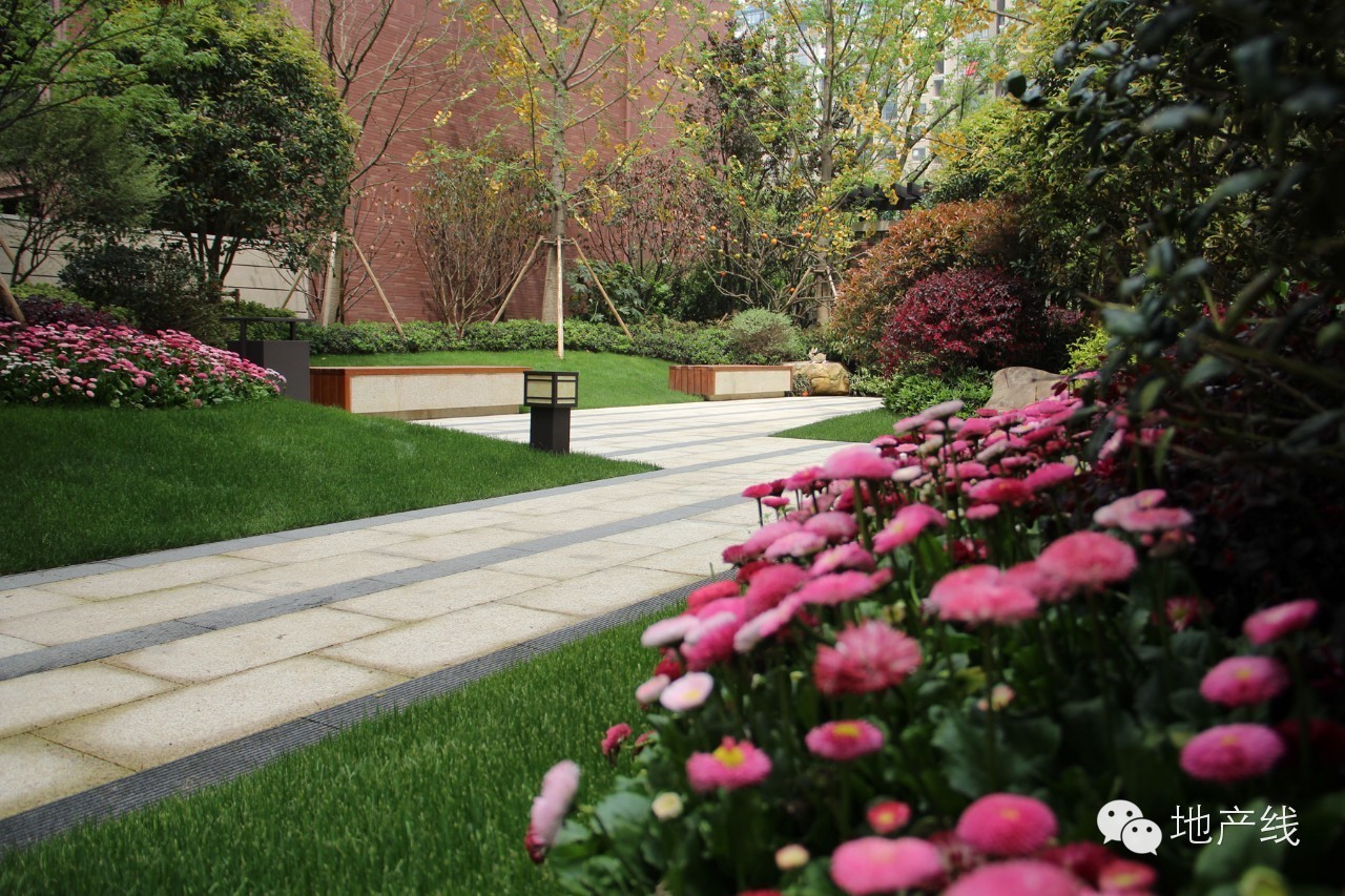 拨乱反正，让旭辉·香格里来呈现到底纯粹的洋房是什么样子的？