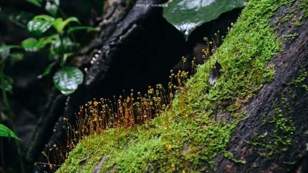 跟着圣玉去旅行，做一个水姑娘