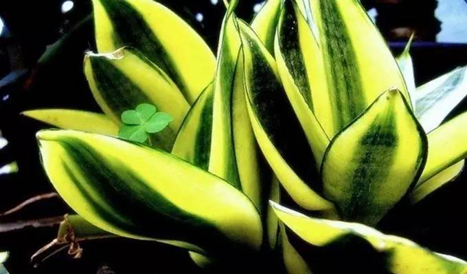 风水上卫生间应该注意什么,风水中如何消除湿气