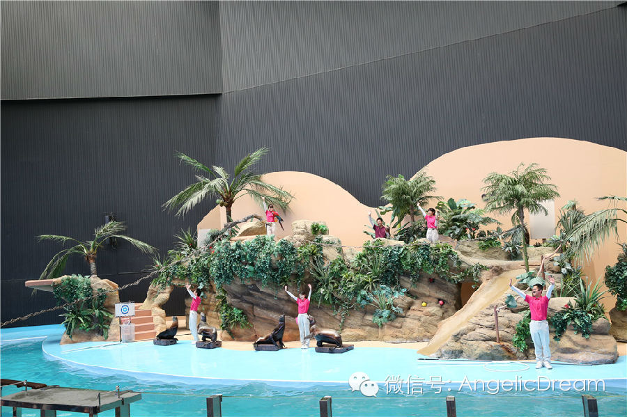 一个中国妈妈带着孩子去了美国,带孩子去日本攻略