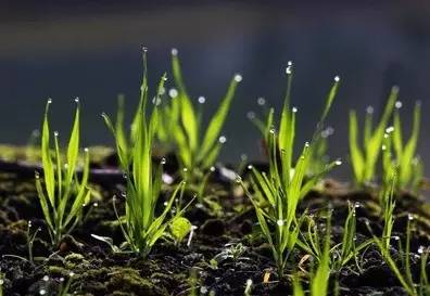 鏍″洯鏂囨槑缇庢枃,鍙ゅ煄鍜搁槼缇庢枃