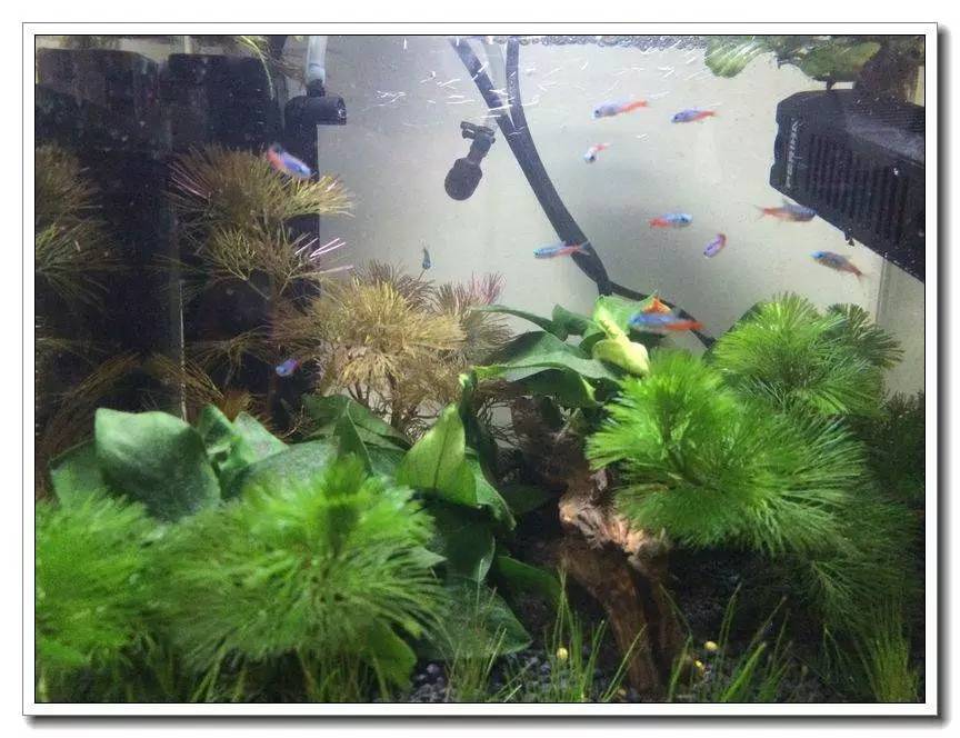 新手入坑的一点感悟,社区演讲精华篇