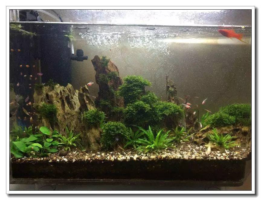 新手入坑的一点感悟,社区演讲精华篇