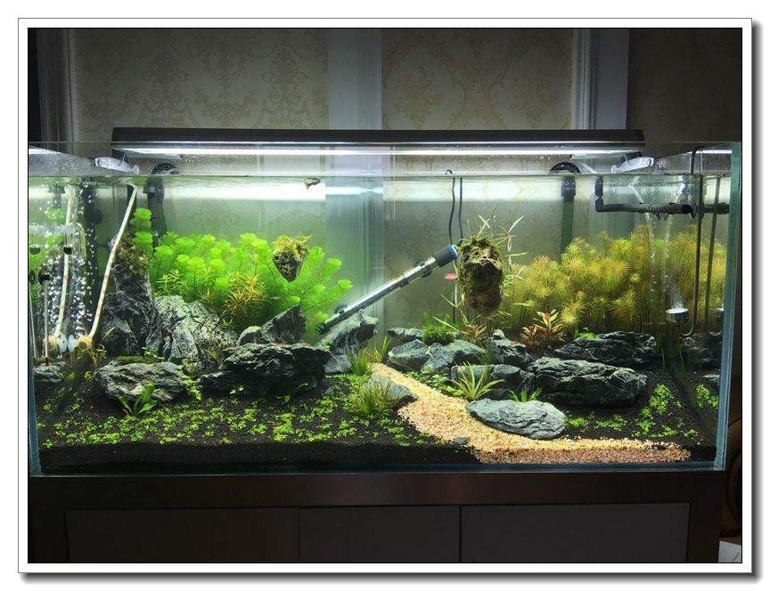 新手入坑的一点感悟,社区演讲精华篇