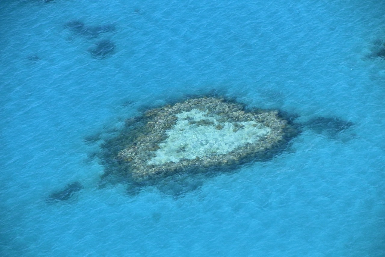 为什么千万不要带父母去旅行,别让父母独自出行