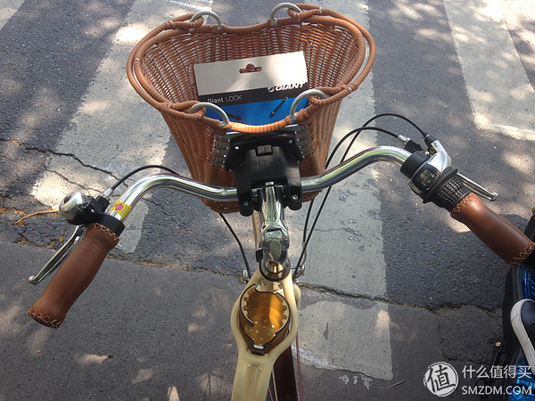 捷安特momentum98,捷安特momentum女士自行车