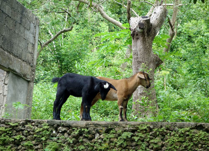 长滩之旅分享篇,长滩旅游行程