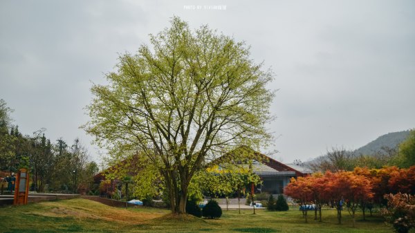 跟着圣玉去旅行，做一个水姑娘