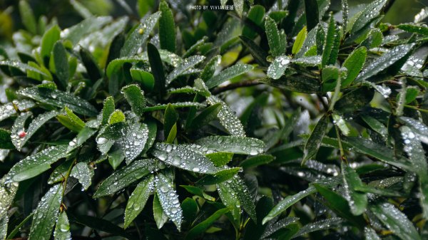跟着圣玉去旅行，做一个水姑娘
