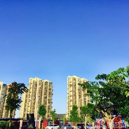 市委书记王蒙徽在厦大说了啥，师生们连连鼓掌