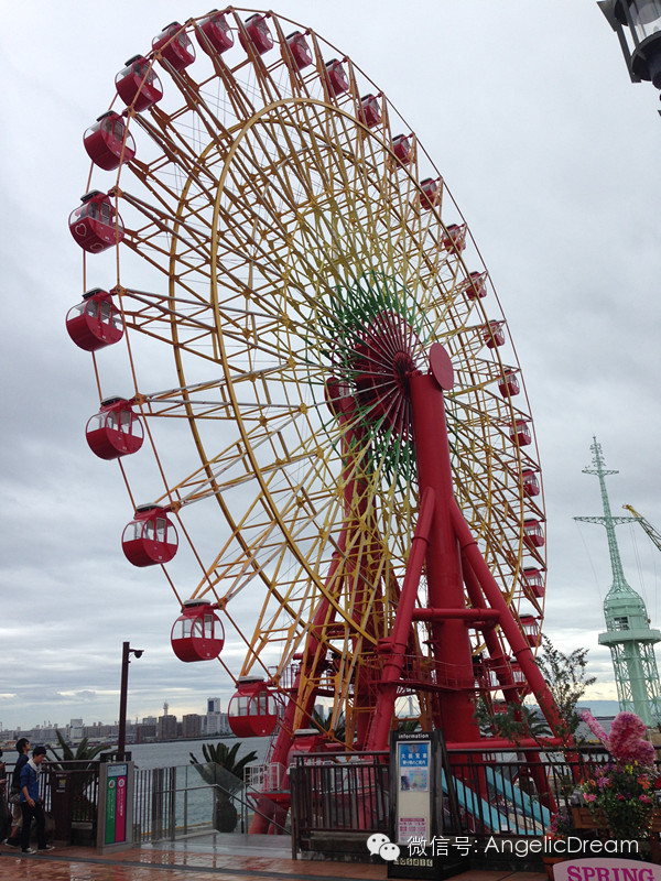 一个中国妈妈带着孩子去了美国,带孩子去日本攻略