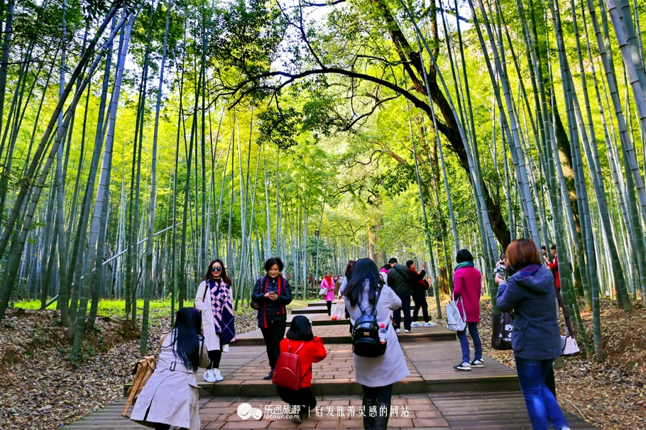 最是那一声弋阳腔：醉了龟峰美了弋阳