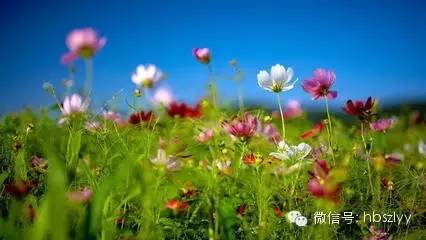 五一来临，肿瘤患者旅游时要注意这些