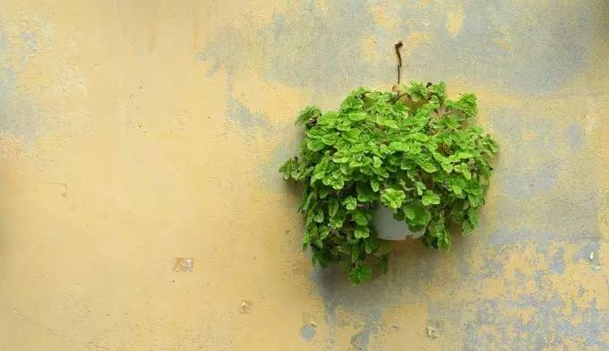 风水上卫生间应该注意什么,风水中如何消除湿气