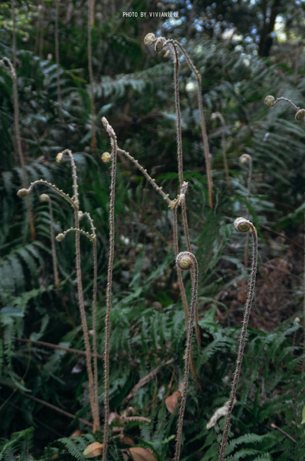 跟着圣玉去旅行，做一个水姑娘